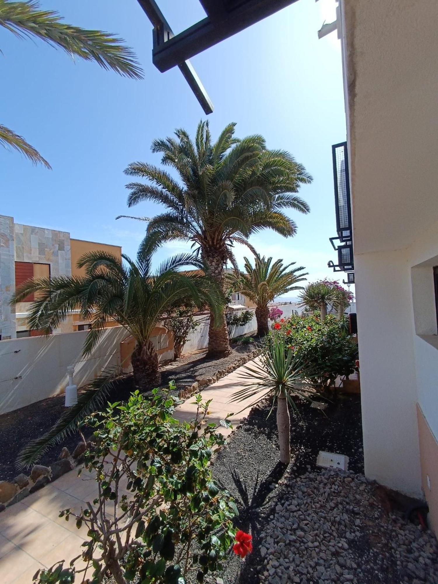 Apartamento Reload Complex Amaya Fuerteventura Costa De Antigua Eksteriør bilde