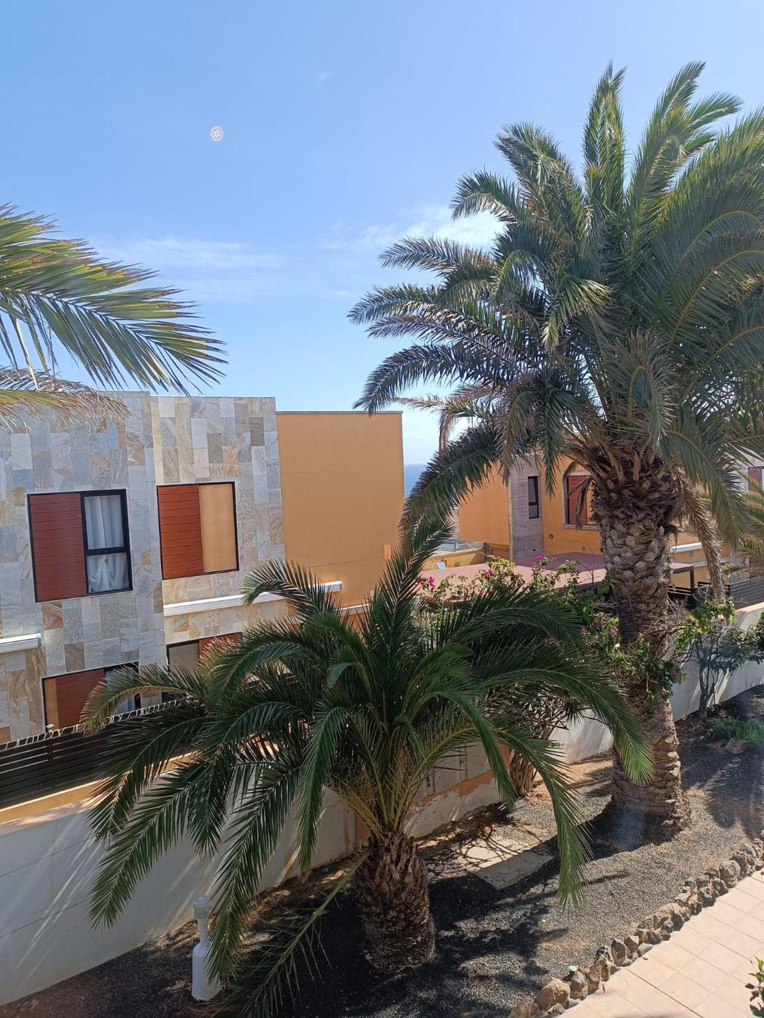 Apartamento Reload Complex Amaya Fuerteventura Costa De Antigua Eksteriør bilde